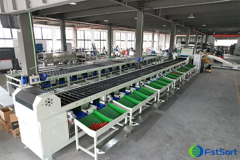 mango optical sorting machine.jpg mango optical sorting machine.jpg